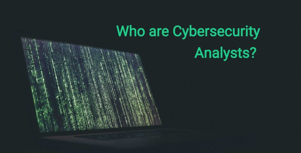 Who are Cybersecurity Analysts?