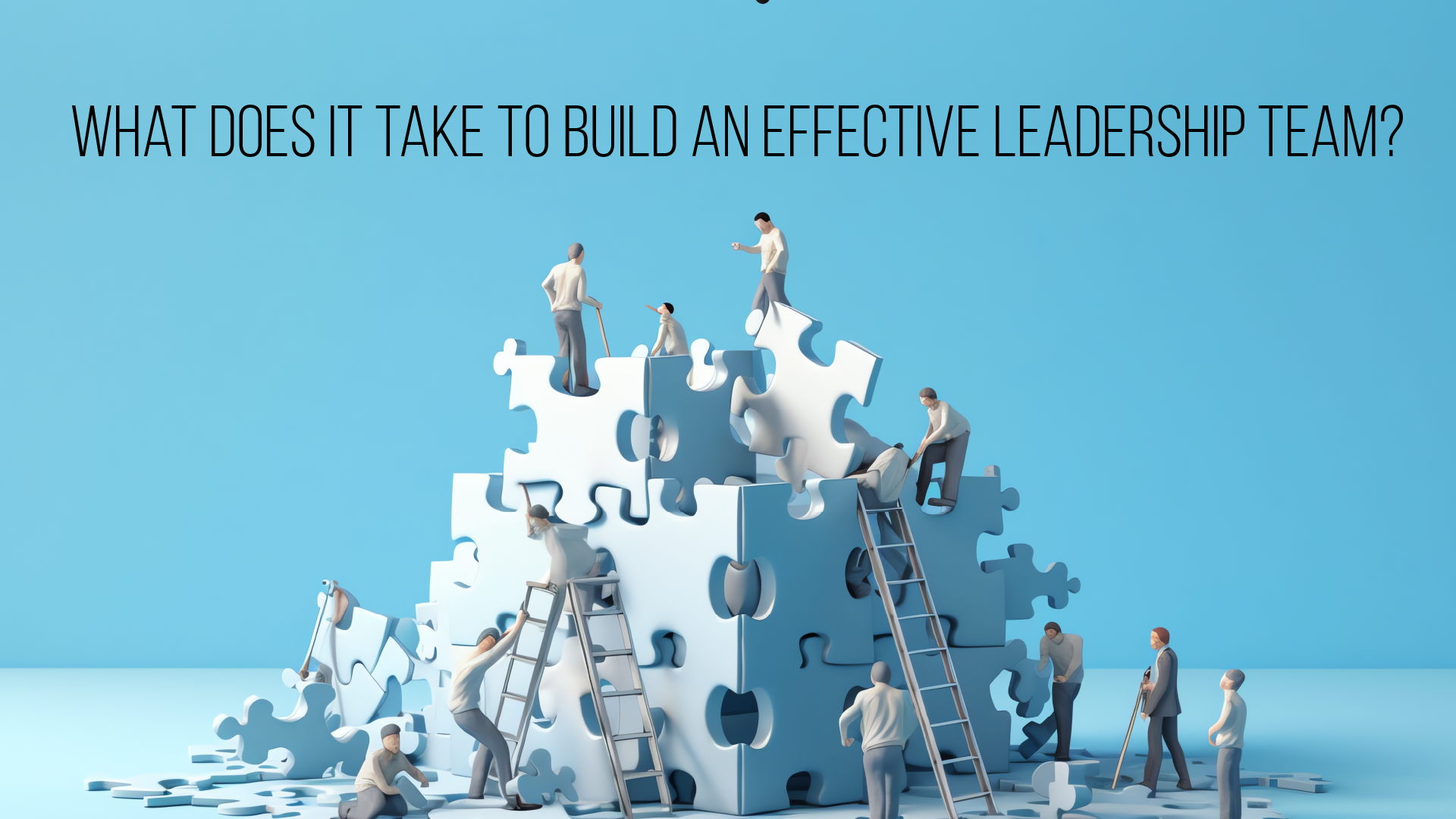 What Does It Take To Build an Effective Leadership Team?