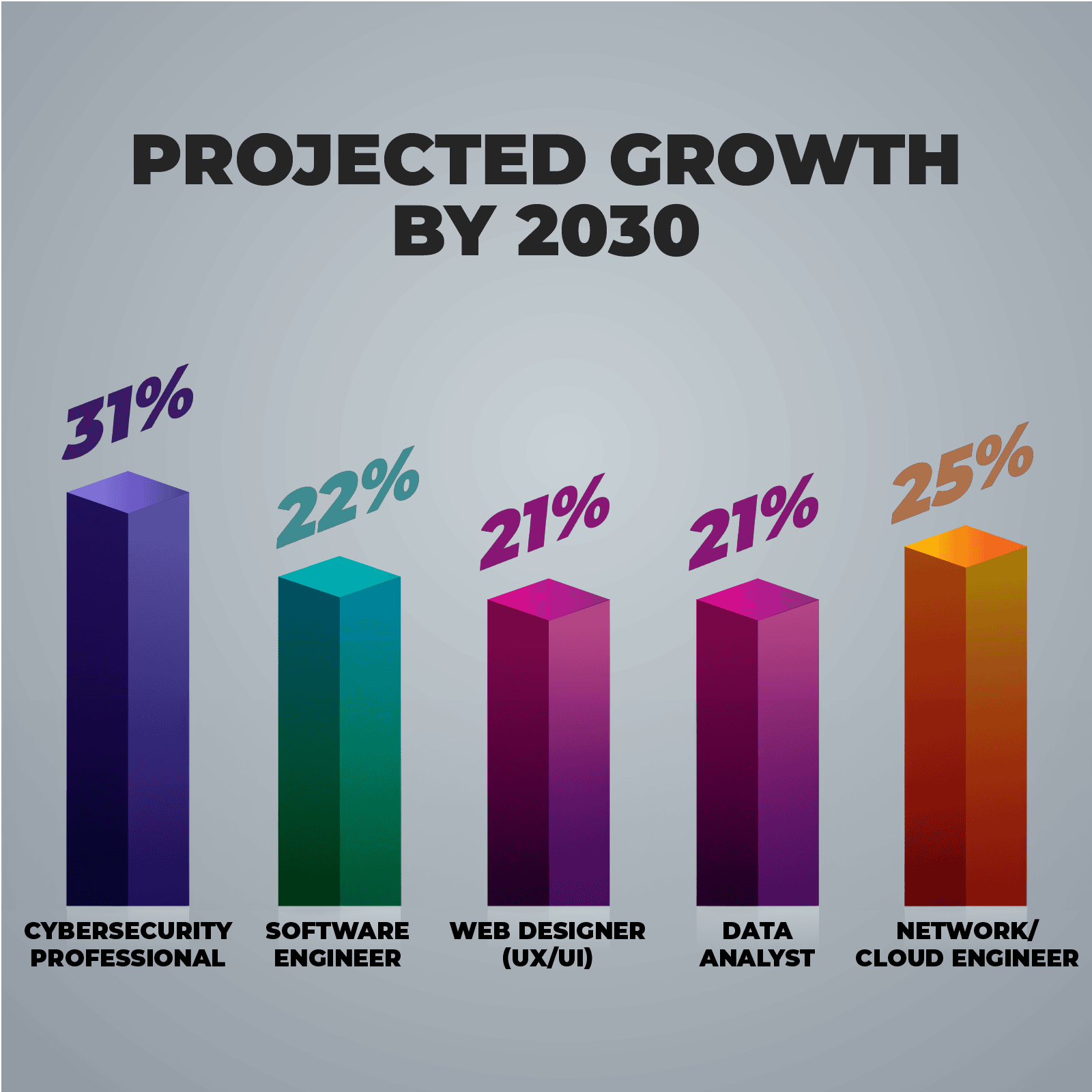 High-Paying Tech Careers in 2024