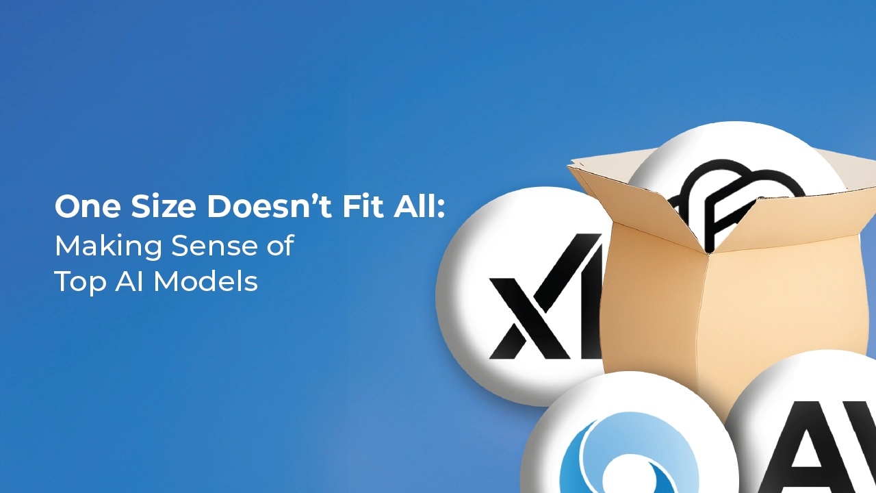 One Size Doesn’t Fit All: Making Sense of AI Models
