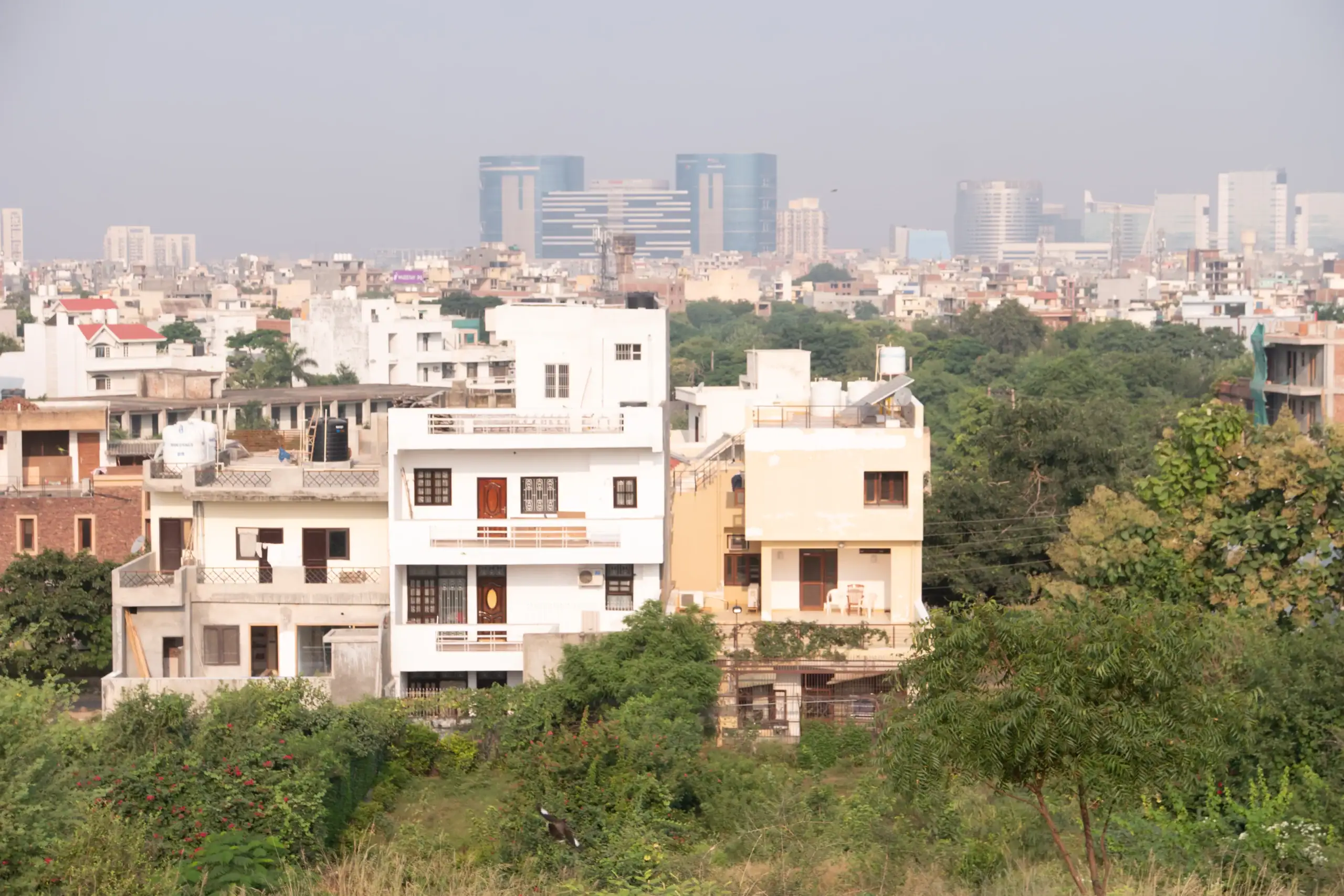 PTP technology consulting services in Gurgaon India