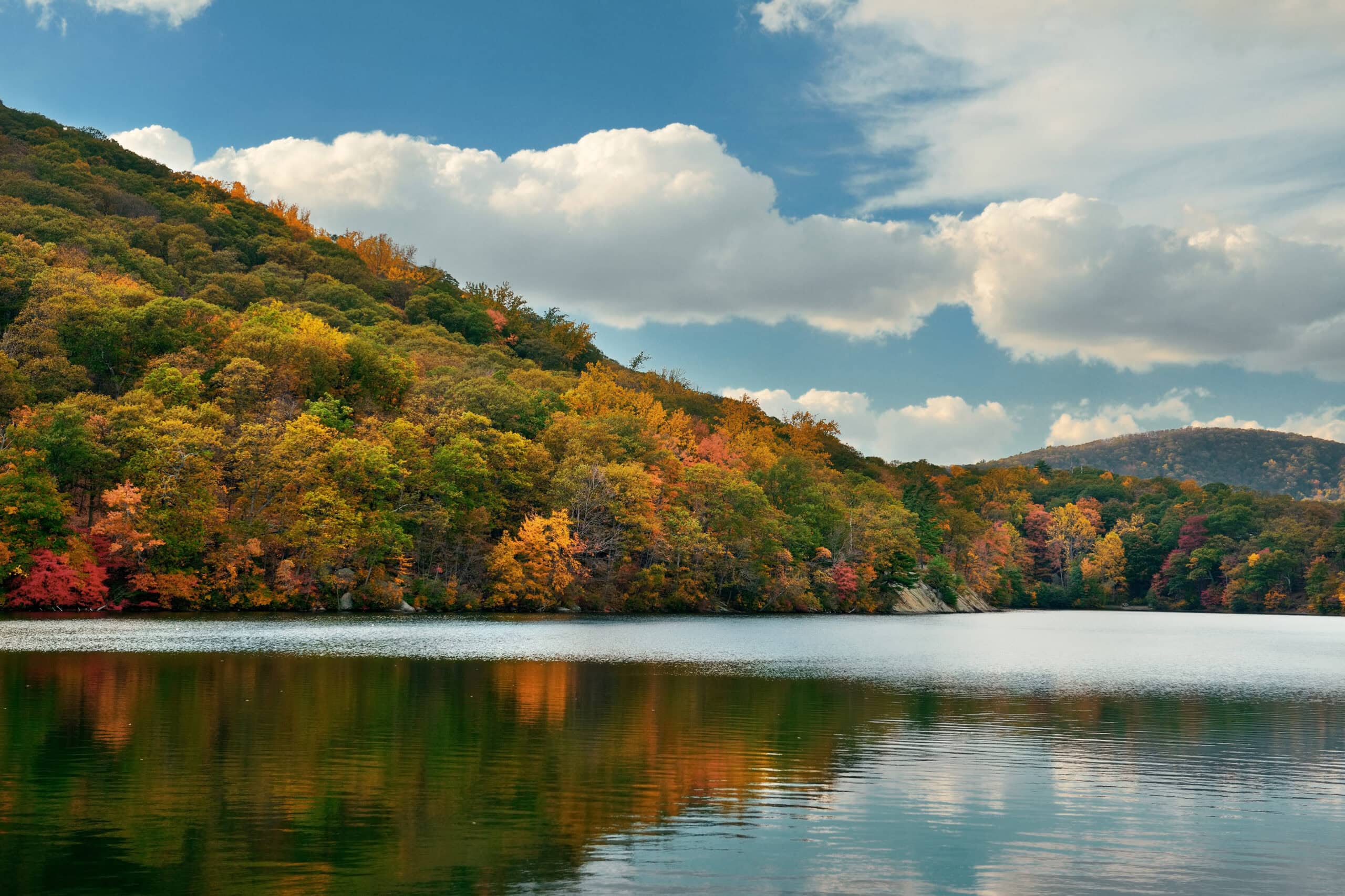 PTP technology consulting services in Pennsylvania