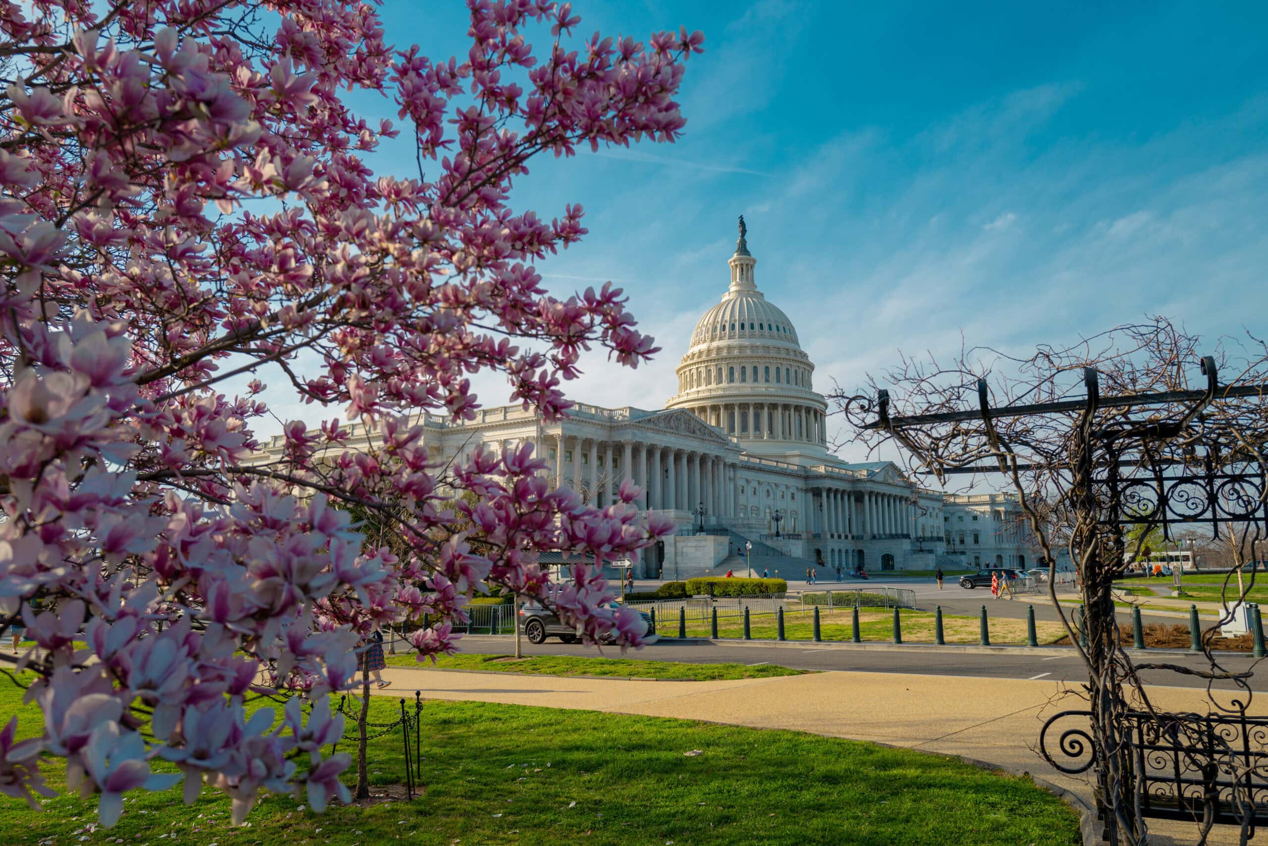 Washington IT & Consulting services from PTP