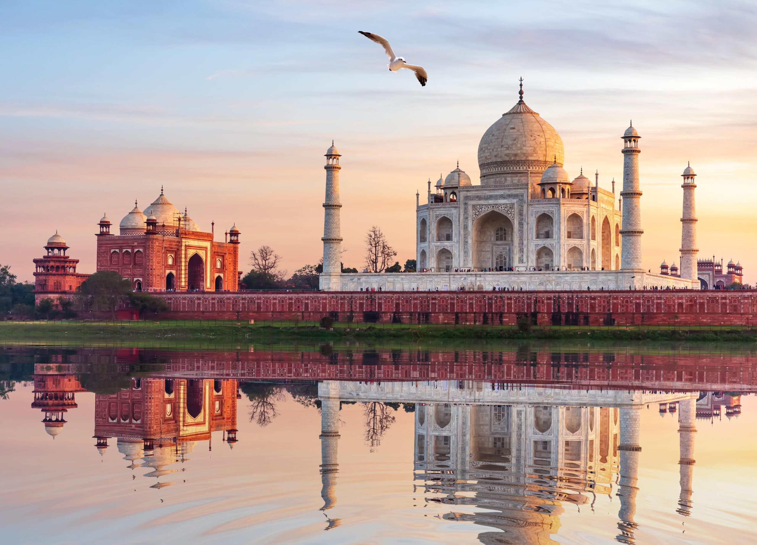 IT staffing and consulting services in India by PTP