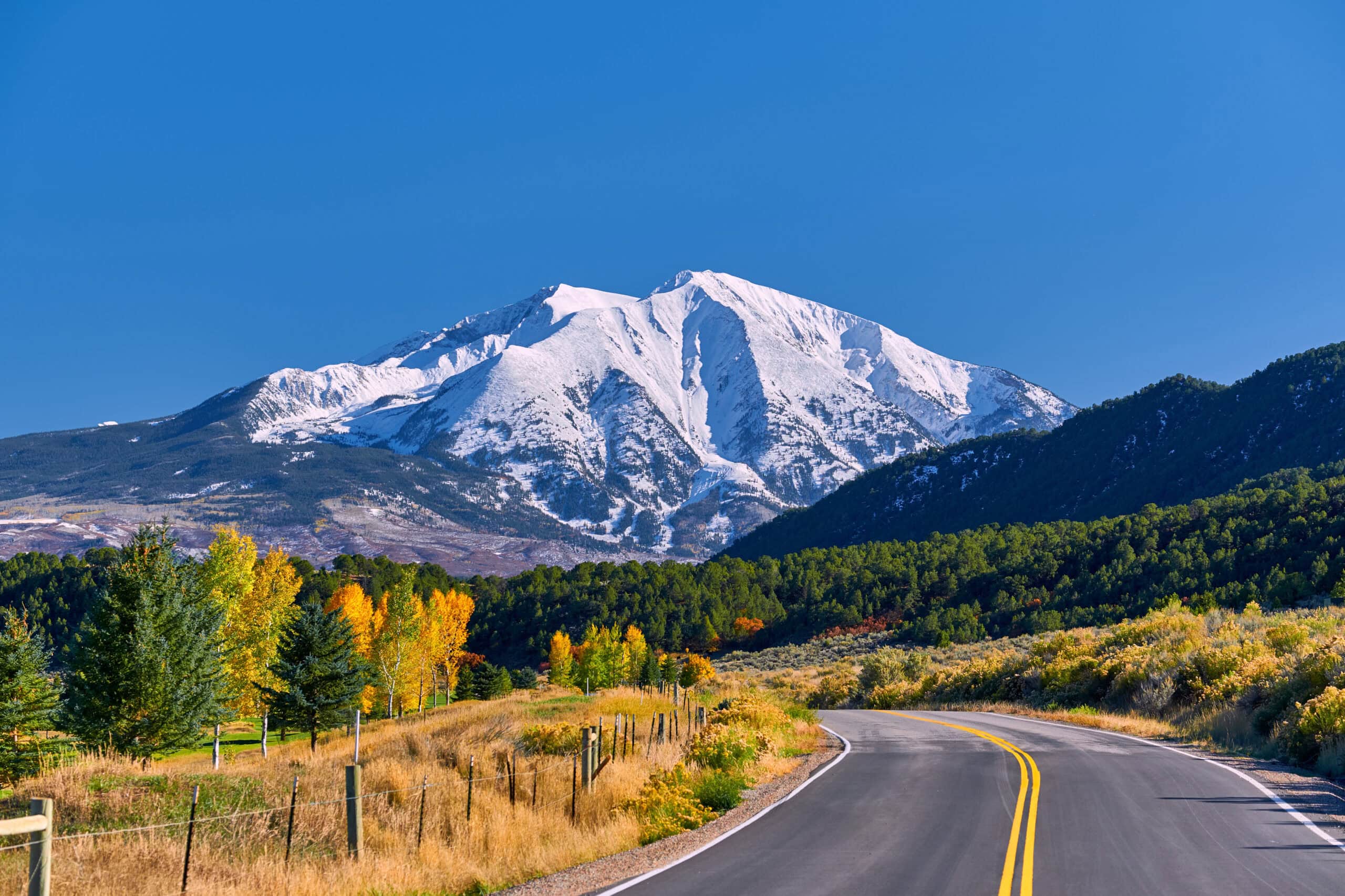 data consulting services from ptp in colorado