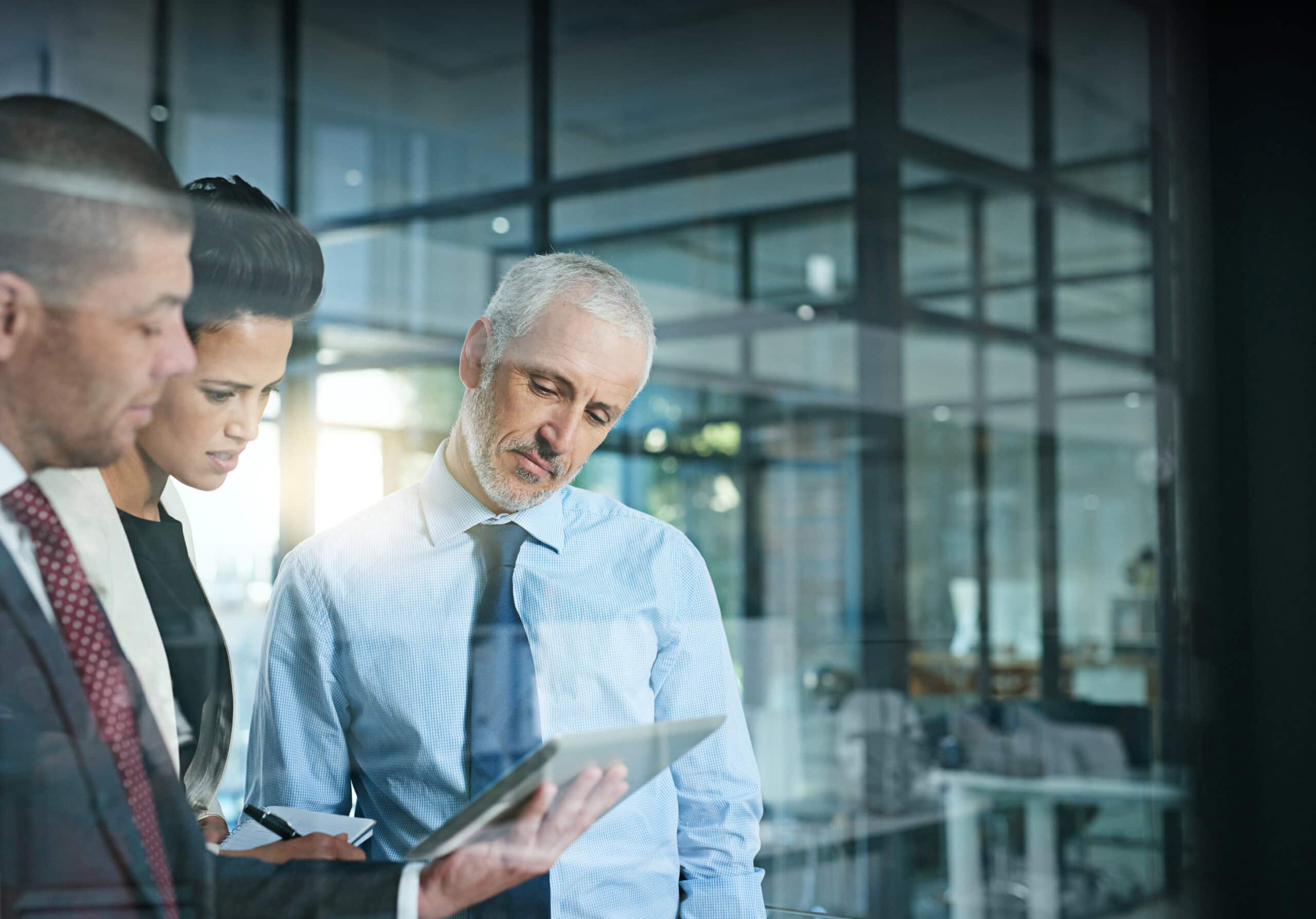 Technology IT specializations from ptp