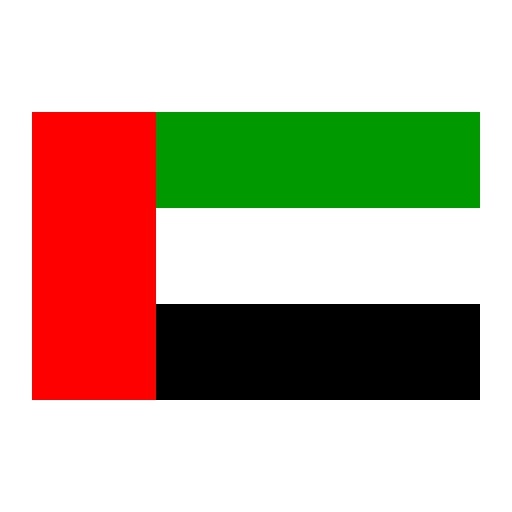 UAE IT consulting